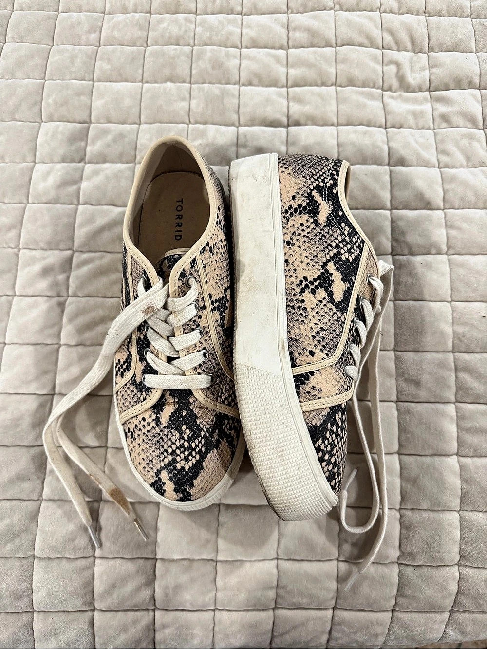 TORRID Snake Print Platform Sneaker 11W